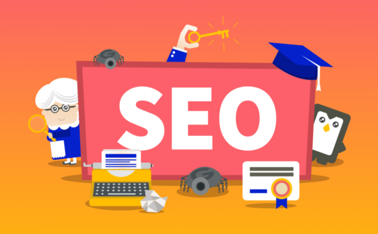 seo expert in delhi